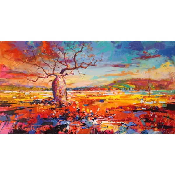 Boab Tree 17